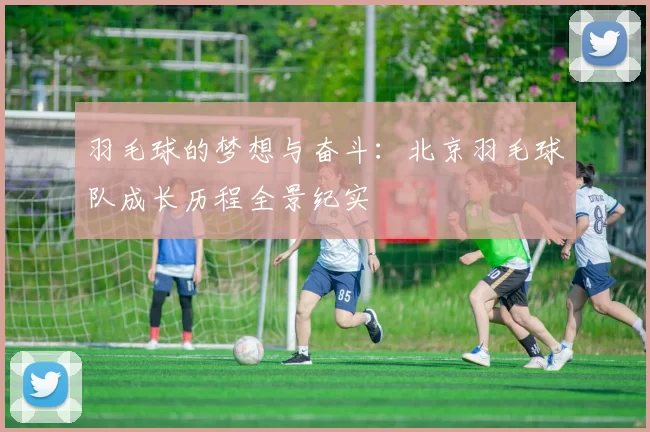 羽毛球的梦想与奋斗:北京羽毛球队成长历程全景纪实