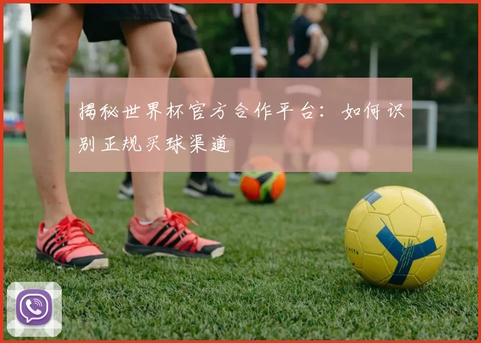 揭秘世界杯官方合作平台：如何识别正规买球渠道