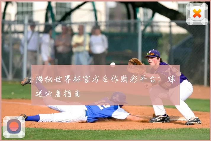 揭秘世界杯官方合作购彩平台：球迷必看指南