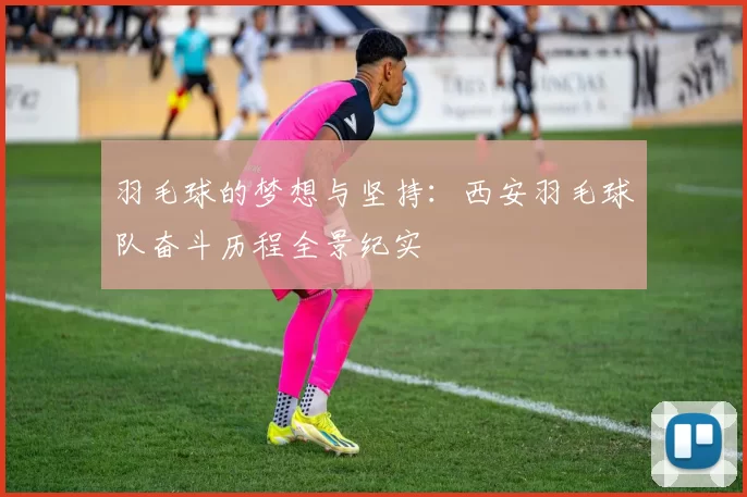 羽毛球的梦想与坚持:西安羽毛球队奋斗历程全景纪实