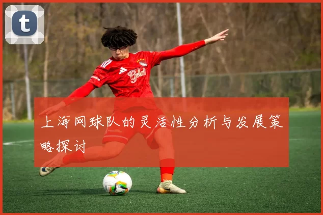 上海网球队的灵活性分析与发展策略探讨