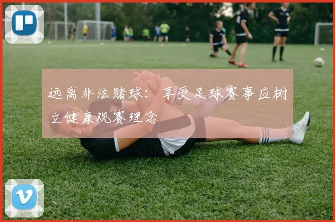 远离非法赌球:享受足球赛事应树立健康观赛理念