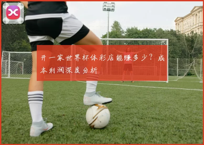 开一家世界杯体彩店能赚多少？成本利润深度分析