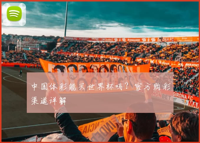 中国体彩能买世界杯吗?官方购彩渠道详解