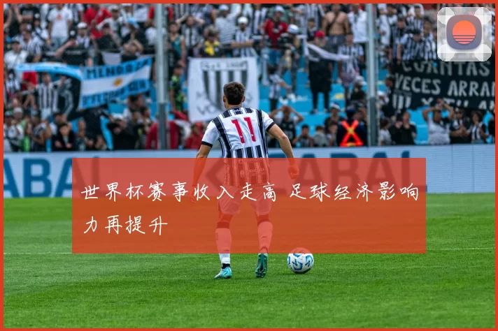 世界杯赛事收入走高 足球经济影响力再提升