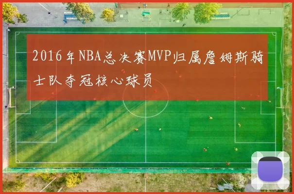 2016年NBA总决赛MVP归属詹姆斯骑士队夺冠核心球员