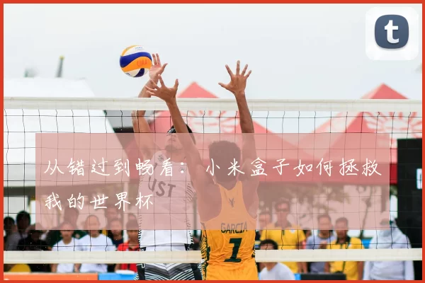 从错过到畅看：小米盒子如何拯救我的世界杯