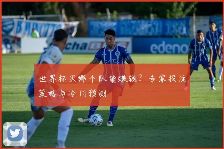 世界杯买哪个队能赚钱?专家投注策略与冷门预测